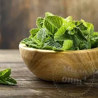 Отдушка Мята курчавая, 1 л артикул TM21052206
