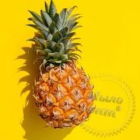 Масляный экстракт Ананаса, 1 л описание и применение