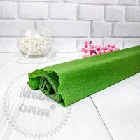 Corrugated paper green cosmetic ingredient Mylo Opt