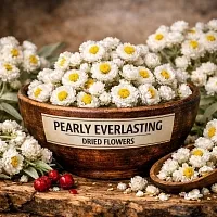 Сухоцвет Антеннария двудомная, 1 кг артикул 790159