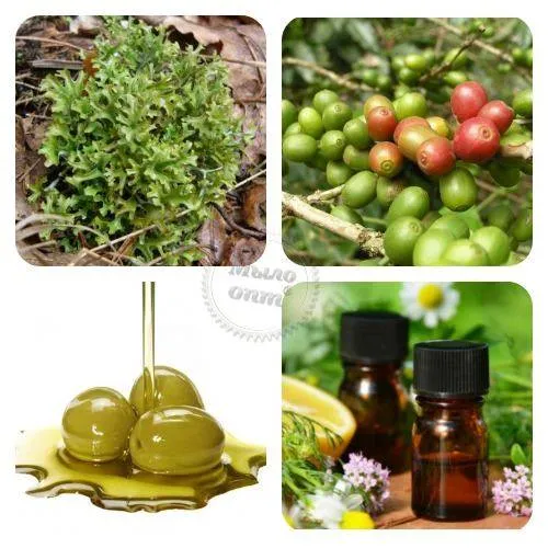 Biomix Oil Complex 1 L Mylo Opt global supplier Biomix Oil Complex 1 L cosmetic ingredient Mylo Opt