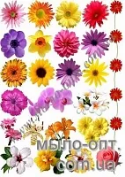 Купить Картинки на водорастворимой бумаге Цветки в Украине
