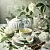 White Tea Fragrance Oil 100 ml cosmetic ingredient Mylo Opt