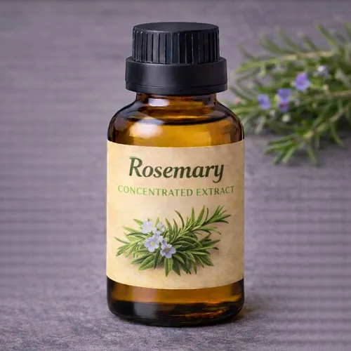 Rosemary Extract Concentrate 50 ml cosmetic ingredient Mylo Opt