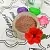 Ayurvedic Hibiscus Powder, 25 g, photos, reviews, use