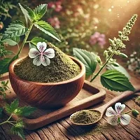 Екстракт Андрографіса сухий 5 грам