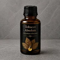 Абсолют Табака, 100 гр артикул TM17051602