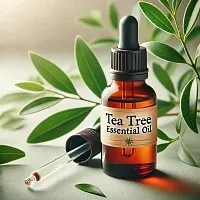 Tea tree essential oil, 50 ml, rating ⭐⭐⭐⭐⭐, 154.20 UAH – Milo Opt, worldwide delivery
