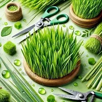Отдушка Травки Муравки, для мыла с нуля , 1 л описание и применение