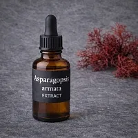 Asparagopsis armata Extract, 100 мл артикул TM21082506