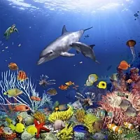 Отдушка Морские водоросли, 1 литр описание и применение