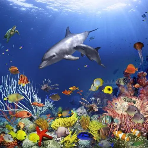 Fragrance Oil Seaweed 1 L Mylo Opt global supplier Fragrance Oil Seaweed 1 L cosmetic ingredient Mylo Opt