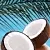 Food flavoring Caribbean Coconut, 5 ml, photos, reviews, use