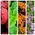 Oil Extract Blend №17 1 L, photos, reviews, use