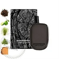 Отдушка Wonderwood, Comme des Garcons, 1 л