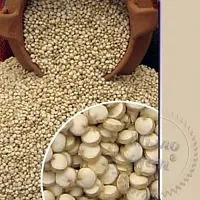 Quinoa Extract, 100 мл
