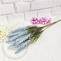 Кущ гірська Лаванда, блакитний