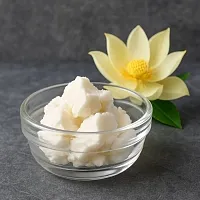 Lotus Butter 1 kg cosmetic ingredient Mylo Opt