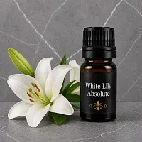 White Lily Absolute 1 L cosmetic ingredient Mylo Opt