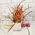 Cut corrugated board Orange 1 kg cosmetic ingredient Mylo Opt