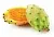 Prickly Pear Aromatic Extract 1 L, photos, reviews, use