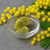 Mimosa wax, 10 g, rating ⭐⭐⭐⭐⭐, 29.80 UAH – Milo Opt, worldwide delivery