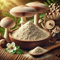 Coprinus Extract Powder 100 g cosmetic ingredient Mylo Opt