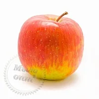 Apple ice cream flavor 1 L cosmetic ingredient Mylo Opt