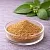 Gymnema Sylvester Extract Powder 1 kg cosmetic ingredient Mylo Opt