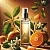 Mandarin Hydrosol 1 L cosmetic ingredient Mylo Opt