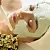Alginate sculpting mask with sea bean extract 25 g cosmetic ingredient Mylo Opt