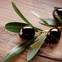 Olive seed scrub 1 kg cosmetic ingredient Mylo Opt