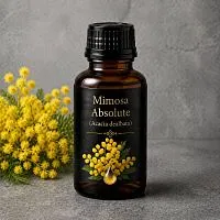 Абсолют Мімози 5 гр