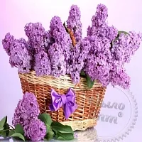 Віддушка для кислого середовища Бузок, 1 літр