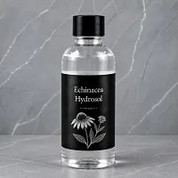 Гідролат Ехінацеї 1 л