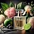 Mania G ARMANI Fragrance Oil 100 ml cosmetic ingredient Mylo Opt