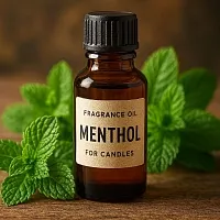 Menthol Candle Fragrance Oil 1 L cosmetic ingredient Mylo Opt