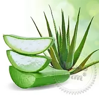 Aloe and Willow Fragrance Oil, 1 liter