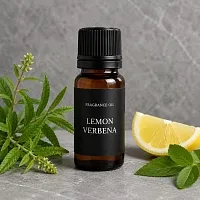 Lemon Verbena Fragrance Oil Germany 1 L cosmetic ingredient Mylo Opt