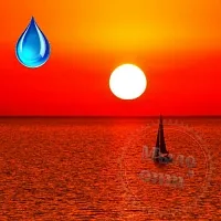 Water soluble - Sea & Sun Fragrance Oil, 1 L