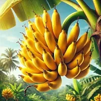 Banana Fragrance Oil 30 ml
