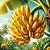 Banana Fragrance Oil 30 ml, photos, reviews, use