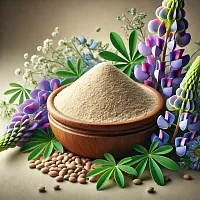 Сухой экстракт Люпина, 1 кг описание и применение
