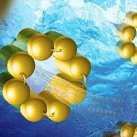 HYDRASALINOL, 5 грамм описание и применение