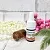 Saw Palmetto CO2 Extract 5 g, photos, reviews, use