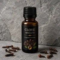 Clove Absolute 5 g cosmetic ingredient Mylo Opt