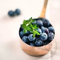Отдушка Blueberry Thyme, 50 мл артикул VV21071401