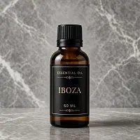 Tetradenia riparia Essential Oil 50 ml cosmetic ingredient Mylo Opt