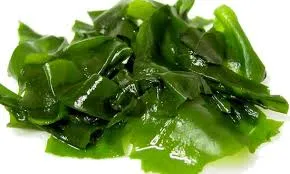 Dried kelp with thallus 1 kg Mylo Opt global supplier Dried kelp with thallus 1 kg cosmetic ingredient Mylo Opt
