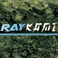 RAYKAMI PDO, 100 мл